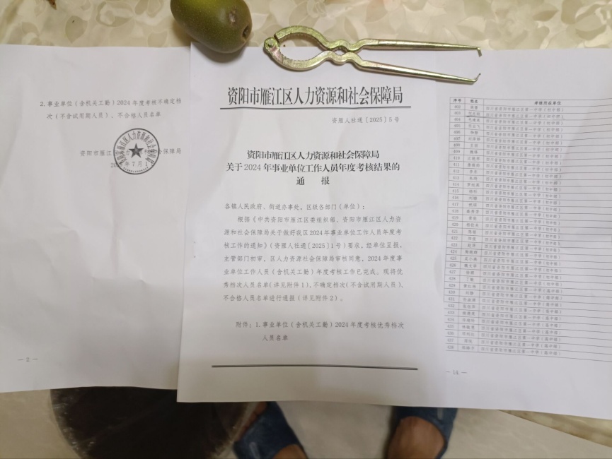 ��־��217��ȿ���������δ����������2025-07