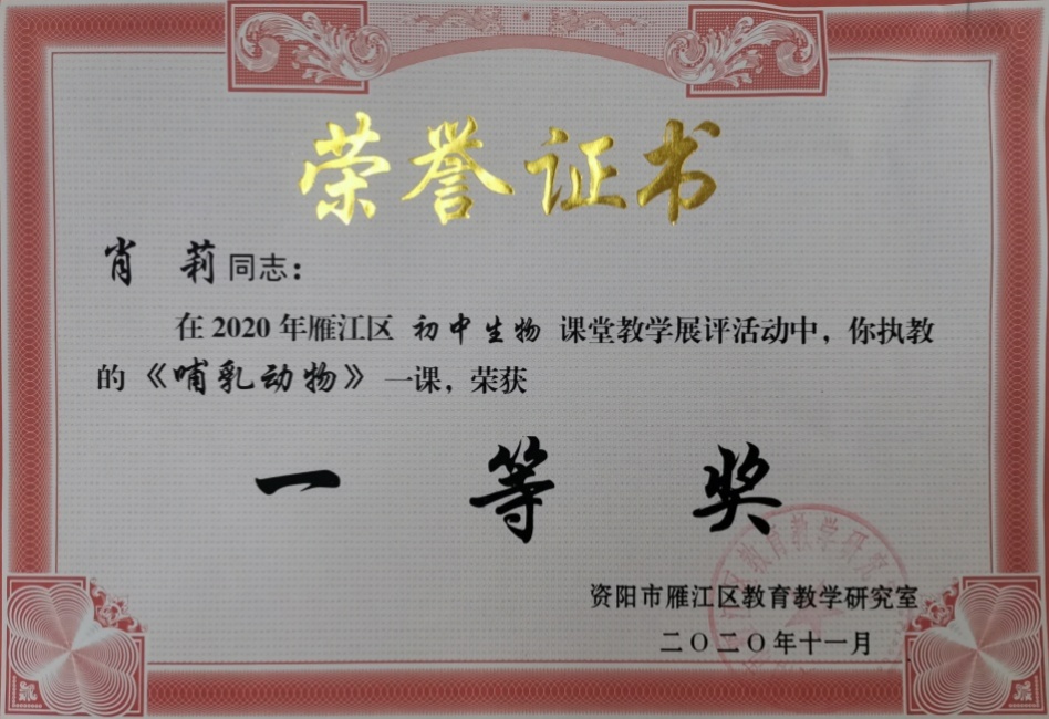 Ф��016���л�������һ��Ҽ���Ƚ�2020-11-