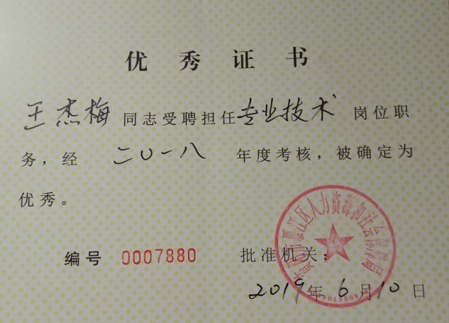 ����÷338��ȿ���������δ����������2019-06