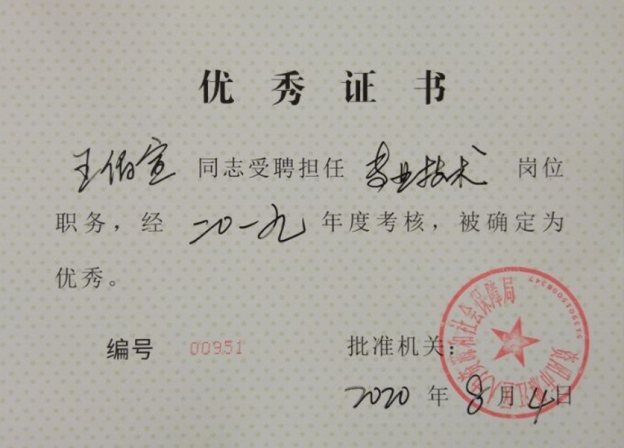 ������294��ȿ���������δ����������2020-08